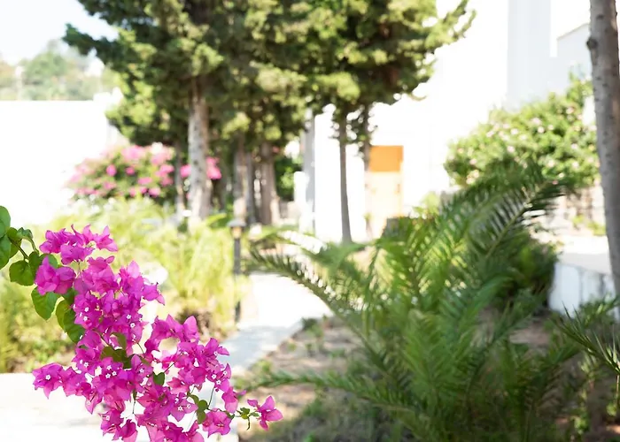 酒店 La Quinta By Wyndham 4*