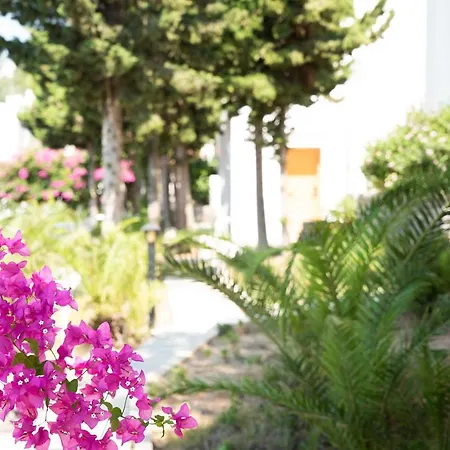 فندق La Quinta By Wyndham 4*